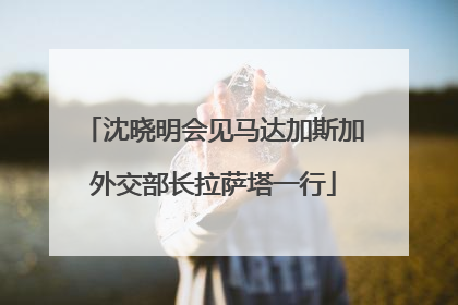 沈晓明会见马达加斯加外交部长拉萨塔一行