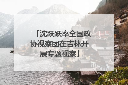 沈跃跃率全国政协视察团在吉林开展专题视察