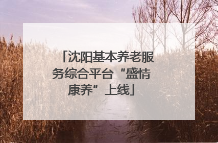 沈阳基本养老服务综合平台“盛情康养”上线