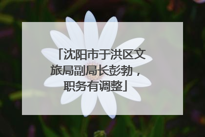 沈阳市于洪区文旅局副局长彭勃，职务有调整