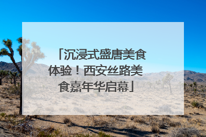 沉浸式盛唐美食体验！西安丝路美食嘉年华启幕