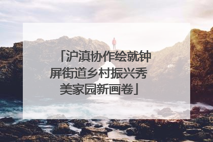 沪滇协作绘就钟屏街道乡村振兴秀美家园新画卷