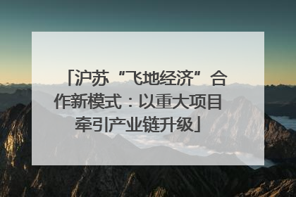 沪苏“飞地经济”合作新模式：以重大项目牵引产业链升级