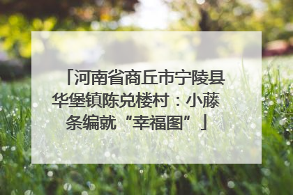 河南省商丘市宁陵县华堡镇陈兑楼村：小藤条编就“幸福图”