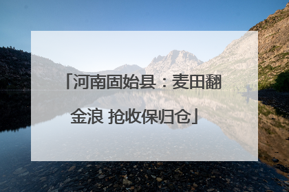 河南固始县：麦田翻金浪 抢收保归仓
