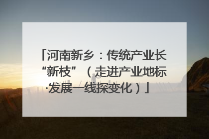 河南新乡：传统产业长“新枝”（走进产业地标·发展一线探变化）