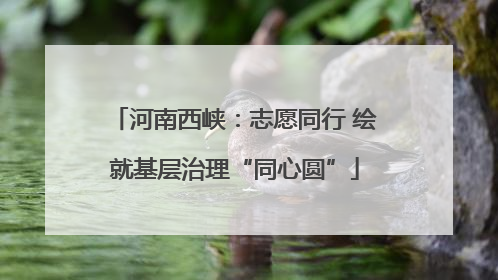 河南西峡：志愿同行 绘就基层治理“同心圆”