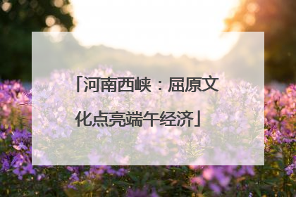 河南西峡：屈原文化点亮端午经济