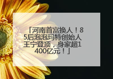 河南首富换人！85后泡泡玛特创始人王宁登顶，身家超1400亿元！