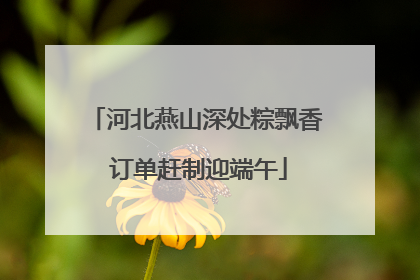 河北燕山深处粽飘香 订单赶制迎端午
