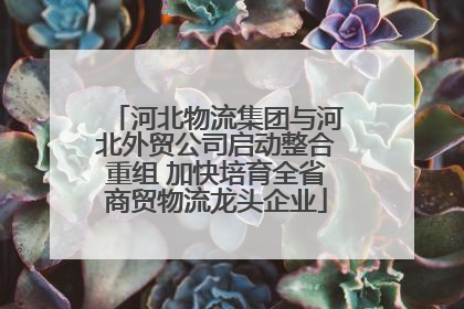 河北物流集团与河北外贸公司启动整合重组 加快培育全省商贸物流龙头企业
