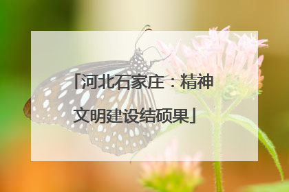河北石家庄：精神文明建设结硕果