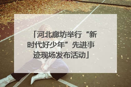 河北廊坊举行“新时代好少年”先进事迹现场发布活动