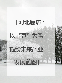 河北廊坊：以“算”为笔描绘未来产业发展蓝图