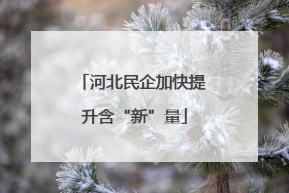 河北民企加快提升含“新”量
