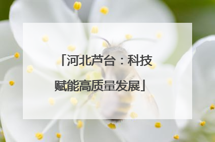 河北芦台：科技赋能高质量发展