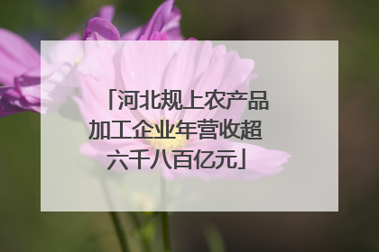 河北规上农产品加工企业年营收超六千八百亿元