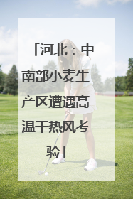 河北：中南部小麦生产区遭遇高温干热风考验