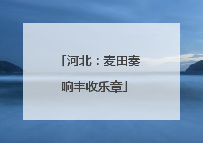 河北：麦田奏响丰收乐章