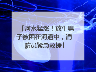 河水猛涨！放牛男子被困在河道中，消防员紧急救援