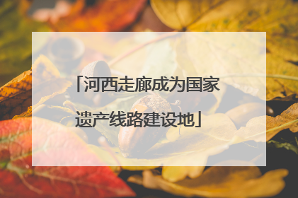 河西走廊成为国家遗产线路建设地