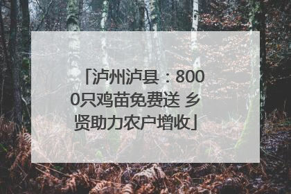 泸州泸县：8000只鸡苗免费送 乡贤助力农户增收