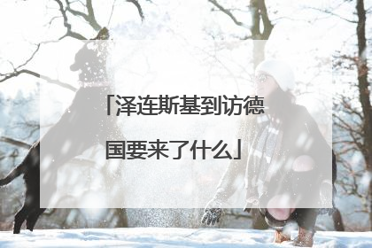 泽连斯基到访德国要来了什么