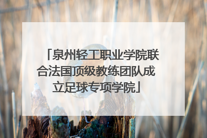 泉州轻工职业学院联合法国顶级教练团队成立足球专项学院