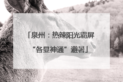 泉州：热辣阳光霸屏 “各显神通”避暑