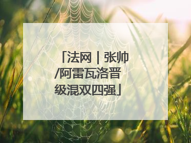 法网｜张帅/阿雷瓦洛晋级混双四强