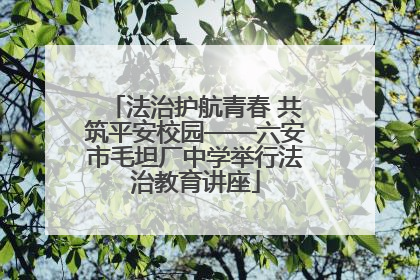 法治护航青春 共筑平安校园——六安市毛坦厂中学举行法治教育讲座