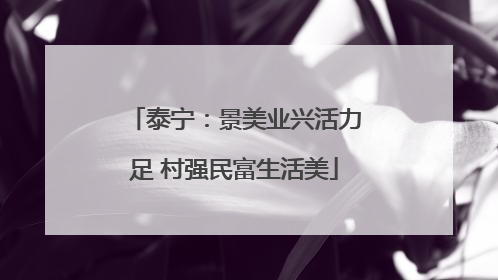 泰宁：景美业兴活力足 村强民富生活美