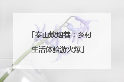 泰山炊烟巷：乡村生活体验游火爆