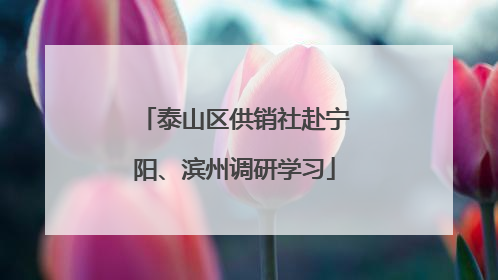泰山区供销社赴宁阳、滨州调研学习