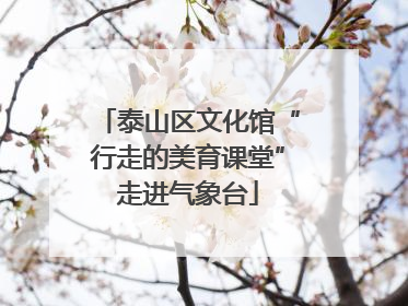 泰山区文化馆“行走的美育课堂”走进气象台