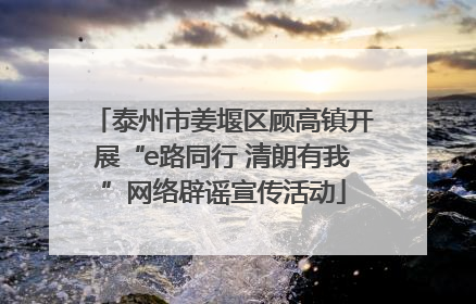 泰州市姜堰区顾高镇开展“e路同行 清朗有我”网络辟谣宣传活动
