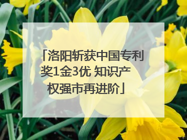 洛阳斩获中国专利奖1金3优 知识产权强市再进阶