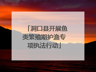 洞口县开展鱼类繁殖期护渔专项执法行动