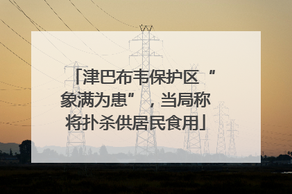 津巴布韦保护区“象满为患”，当局称将扑杀供居民食用