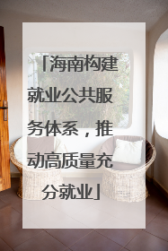 海南构建就业公共服务体系，推动高质量充分就业