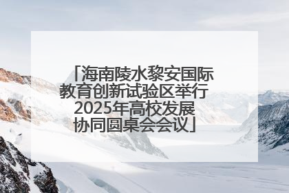 海南陵水黎安国际教育创新试验区举行2025年高校发展协同圆桌会会议