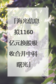 海光信息拟1160亿元换股吸收合并中科曙光