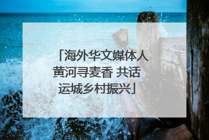 海外华文媒体人黄河寻麦香 共话运城乡村振兴