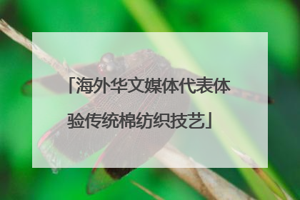 海外华文媒体代表体验传统棉纺织技艺