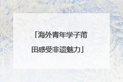 海外青年学子莆田感受非遗魅力