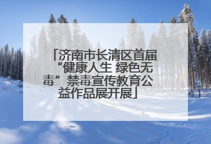 济南市长清区首届“健康人生 绿色无毒”禁毒宣传教育公益作品展开展