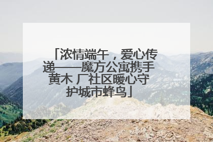 浓情端午，爱心传递——魔方公寓携手黄木 厂社区暖心守护城市蜂鸟