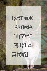 浙江丽水：念好绿色“山字经”，闯出生态富民路