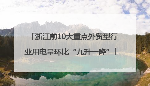 浙江前10大重点外贸型行业用电量环比“九升一降”