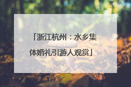 浙江杭州：水乡集体婚礼引游人观赏